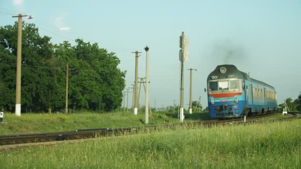 在夏天的一个阳光明媚的日子里 浅蓝色的火车穿过草地 在夏天的一个阳光明媚的日子里 一辆浅蓝色的火车穿过乌克兰的一片绿草田 天空是天景 — 图库视频影像