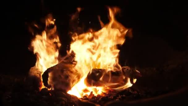 Magic Fire Brandt Vrolijk Traditionele Smithy Workshop Oekraïne Sprookjesachtig Uitzicht — Stockvideo