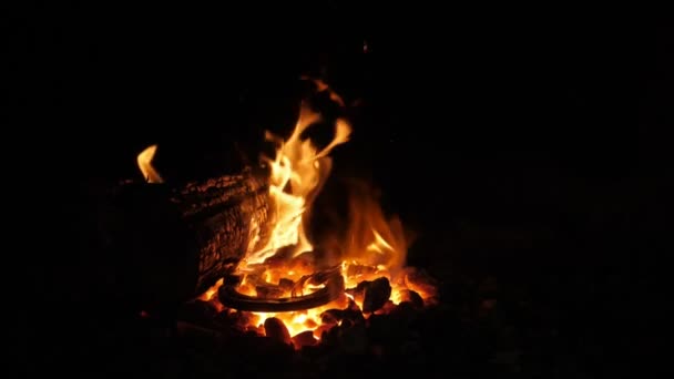 Pompás Tűzhely Tűz Egy Nyelv Látszó Szeret Egy Állat Szellem — Stock videók