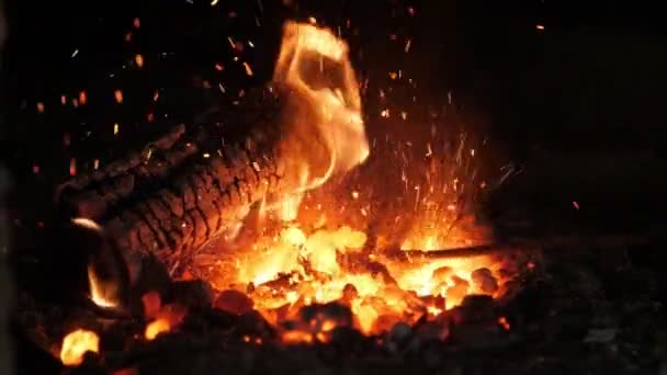 Fuoco Del Forno Scatenato Con Una Lingua Che Sembra Uno — Video Stock