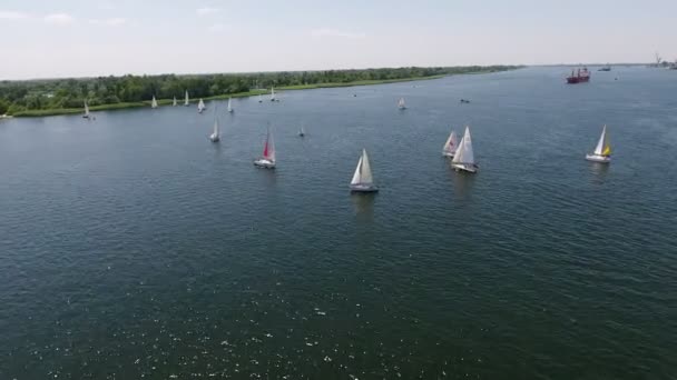 Aerial Shot One Mast Sailboats Floating Dnipro River Sunny Day — Stock Video