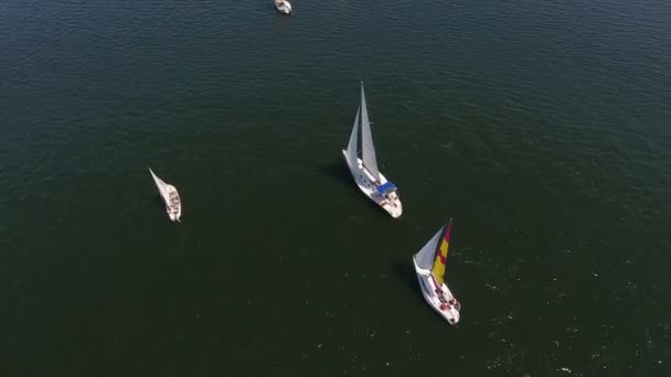 晴れた日にドニプロ川で競うワンマストヨットの空中ショット 夏の晴れた日にドニプロで移動する白いスポーティなヨットの美しい鳥の目 レガッタはうまく見えます — ストック動画