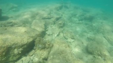 Yaz aylarında Alanya'da ışınların altında ki izme lerle taşlı deniz dibi