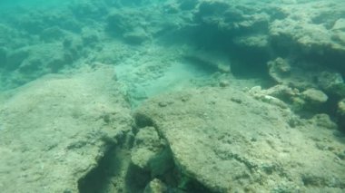 Yavaş çekimde yaz aylarında Alanya'da garip figürlerle esrarengiz deniz dibi Türkiye'de yaz aylarında Alanya'da çeşitli taş ve kayalardan deniz dibine bakan bir canavarın heyecan verici görünümü.