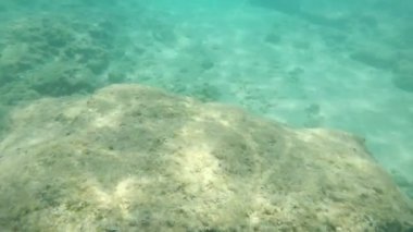 Yaz aylarında Alanya'da güneş ışınları altında küçük balıklar ile sarı deniz dibi yavaş çekimde yavaş hareketle alanya beldesinde güneş ışınları ve küçük balık lekeleri ile taşlı bir deniz dibi ilham verici görünümü