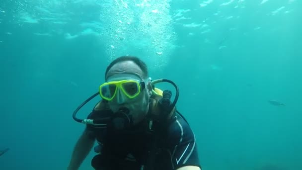 Hombre Valiente Traje Buceo Bucear Aguas Turquesas Slo Alegre Vista — Vídeos de Stock