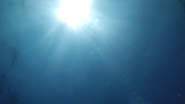 Gnistrande Sol Med Långa Strålar Det Violetta Vattnet Alanya Sommaren — Stockvideo