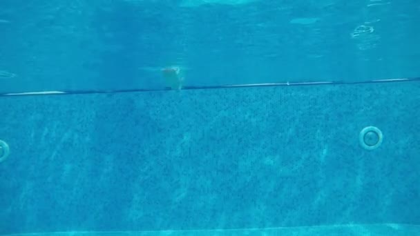 エネルギッシュな小さな子供のスロモ陽気な眺めでアランヤのパドリングプールで泳いだ幸せな少年Nスロモでトルコの水泳池で笑顔とダイビングのマスク — ストック動画
