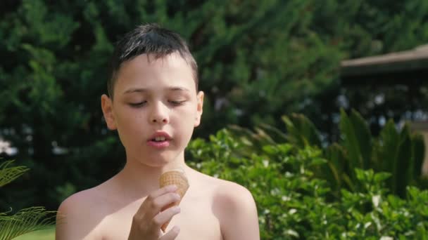 Kleiner Junge Isst Eis Einem Grünen Park Einem Badeort Der — Stockvideo