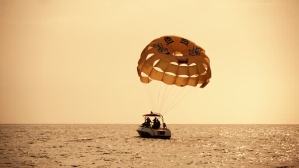 Motorboat Está Puxando Paraquedas Mar Aberto Pôr Sol Escuro Câmera — Vídeo de Stock