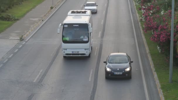 Алания Турция Июня 2019 Года Захватывающий Вид Оживленную Дорогу Подстриженными — стоковое видео