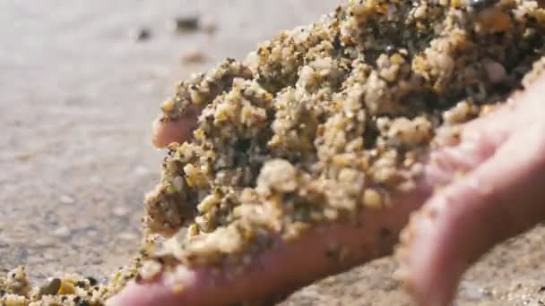 Woman Hands Holding Sand Shells Palms Seashore Slo Romantic View — Stock Video