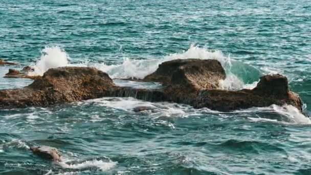 여름의 화창한 자갈과 돌이있는 알라냐 해안은 슬로우 모션으로 여름의 화창한 — 비디오