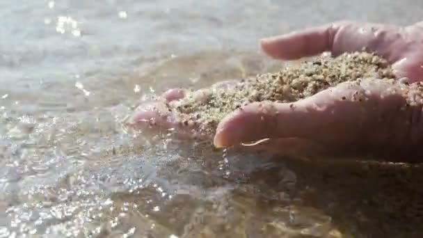 スローモーションで夏のアランヤビーチに砂を保持する2つの手のひらスローモーションで夏の晴れの海のビーチで2人の男性の手を掘り 濡れた砂と貝殻を再生する素晴らしい景色 — ストック動画