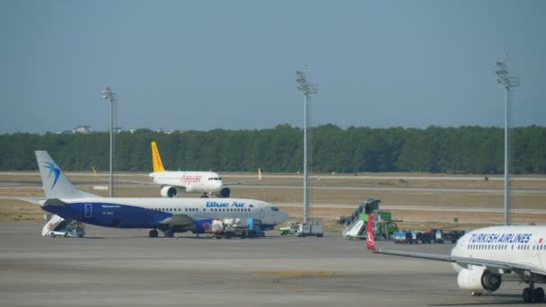 안탈리아 2019년 14일 화창한 알라냐 공항의 활주로에서 방향으로 달리는 여객기의 — 비디오