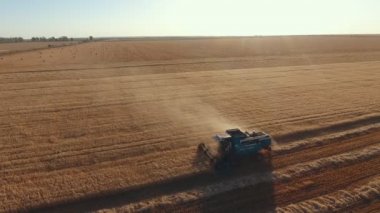 Bir zahmetli havadan çekilen gün batımı parlayan buğday tahıllar harmanlama kombine modern bir kuş bakışı, parlak gün batımında büyük bir buğday alanında dönen bir eşikler ile kombine edilir. Drone onu takip ediyor..
