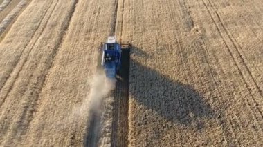 Modern bir havadan çekilen güneş batımında buğday tarlaları hasat bitkileri birleştirmek güzel yukarı aşağı harman görünümü, bir drone tarafından izlenen parlak gün batımı içinde bir toz bulutu ile sürme birleştirir..