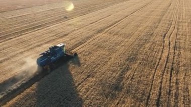Güneş batımında buğday tarlası içinde tahıl alma akıcı bir kombine havadan çekim hasat inanılmaz kuş bakışı görünüm gün batımında bir toz bulutu ile hareketli birleştirerek düşük bir uçan drone takip.