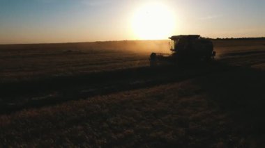 Bir kabin içinde bir adam ile kombine hava çekimi günbatımı buğday hasat orijinal kuş bakışı bir harman bir cam kabin bir sürücü ile aynı hızda gün batımı büyük bir alanda bir toz bulutu ile birlikte birleştirmek.