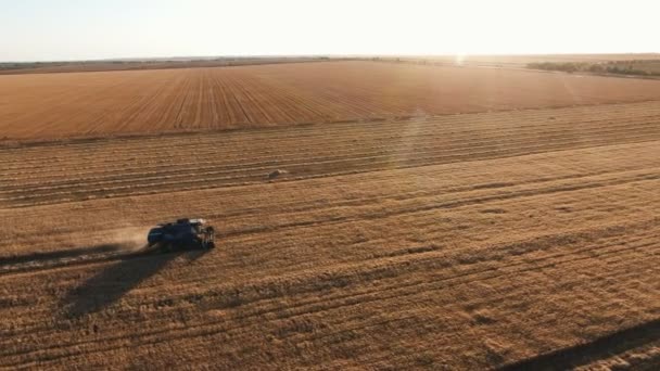 Luchtfoto Van Een Geavanceerd Combineer Oogst Tarwe Gewassen Bij Shining — Stockvideo