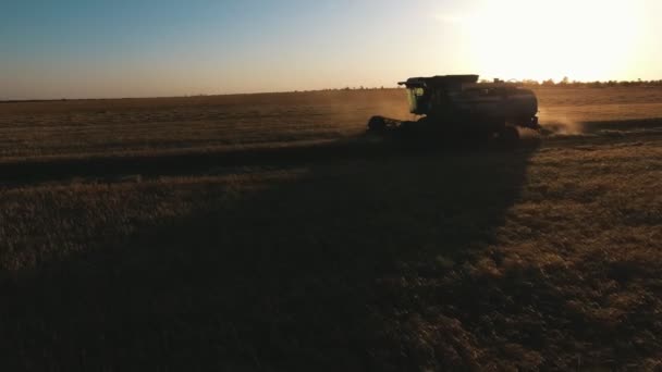 Bir Kabin Içinde Gün Batımında Tahıl Hasat Sürücü Ile Kombine — Stok video