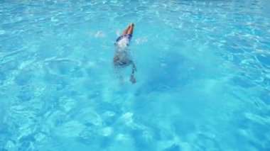 Yunus sualtı ve yüzme emzirme gibi akıllı genç dalış Slo-Mo bir yunus gibi sualtı bir sportif adam dalış heyecan verici görünümü, yüzme emzirme ve yavaş hareket içinde Wading gölet frenleme ortaya çıkan. 