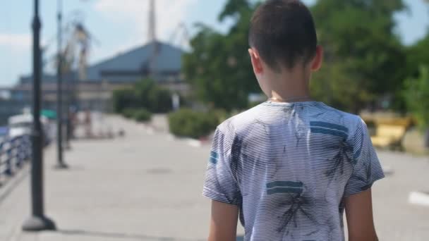 Ontspannen Jongen Wandelen Dnipro Rivierdijk Met Leuningen Slo Indrukwekkend Achteraanzicht — Stockvideo