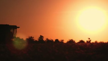 Akıllı, yavaş hareket içinde ışıltılı altın günbatımı gidiyor kombine hasat harika görünümü bir Rotary Thresher hareket ve yavaş hareket köpüklü ışınları ile gün batımı parlayan büyük Agro alan üzerinde buğday tahıl hasat