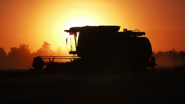 Advanced Combine Harvester Moving Shimmering Golden Sunset Slow Motion Inspiring — Stock Video