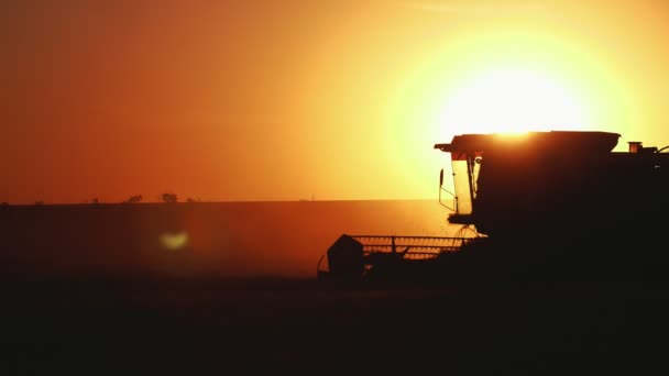 Laborious Combine Harvester Working Hard Shimmering Sunset Slow Motion Incredible — Stock Video
