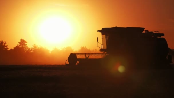 Arty 与旋转的滑轮在闪闪发光的日落中缓慢运动工作 惊人的视图 一个欢快的联合收割机与玻璃小屋去和温上小麦在农业领域在黄色日落与闪闪发光的光线在慢动作 — 图库视频影像