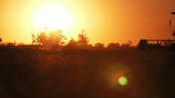 Сучасний Комбайн Обертовою Точністю Йде Золотий Захід Сонця Шлю Чудовий — стокове відео