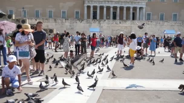 希腊雅典 2019年8月15日 在希腊议会大厦雅典广场上 快乐的游客用谷物喂食灰鸽子的美妙景色 他们中的一些人在夏天飞走在斯洛莫 — 图库视频影像