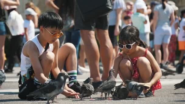 アテネ ギリシャ 2019年8月15日 スローモーションで夏に多くの観光客とギリシャの国会議事堂でアテネ広場で灰色の鳩を食べる2人の中国人の子供の感情的なビュー — ストック動画