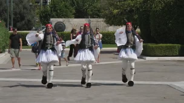 Athens Greece August 2019 Funny View Traditional Green Evzons Dressed — Stock Video