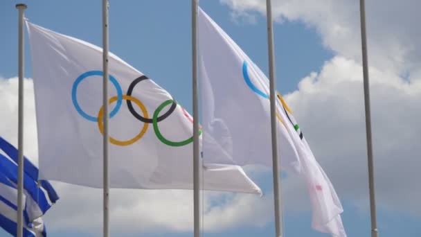 Dos Pancartas Olímpicas Una Griega Ondeando Sobre Asta Bandera Verano — Vídeos de Stock