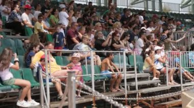 Atina, Yunanistan - 15 Ağustos 2019: Güneşli bir yaz gününde bir tribünde oturan, bakan ve bir yunus gösterisi izleyen çok sayıda şortlu ve tişörtlü turistin neşeli manzarası. Mutlu görünüyorlar..