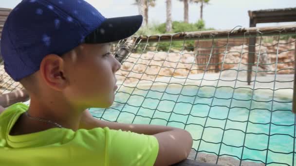 kleiner Junge mit Mütze, der an einem sonnigen Tag in Zeitlupe eine Delfinshow anschaut, aufregender Blick auf einen brünetten Jungen mit Baseballmütze, der in einem Aquapark sitzt und an einem sonnigen Tag im Sommer in Zeitlupe eine Delfinshow ansieht. er sieht fröhlich aus.
