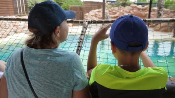 在一个阳光明媚的夏天 妈妈和她的儿子头戴帽子 坐在水上公园里看海豚表演 在一个阳光明媚的夏天 妈妈和她的儿子戴着一顶棒球帽 坐在那里看海豚表演 一副令人印象深刻的样子 — 图库视频影像