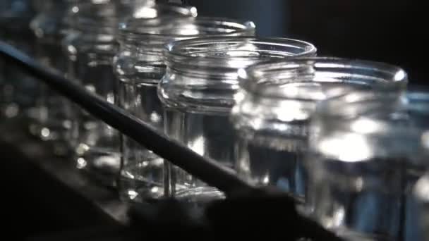 Airy Glass Jars Going Conveyor Line Modern Tomato Processing Plant — Stock Video