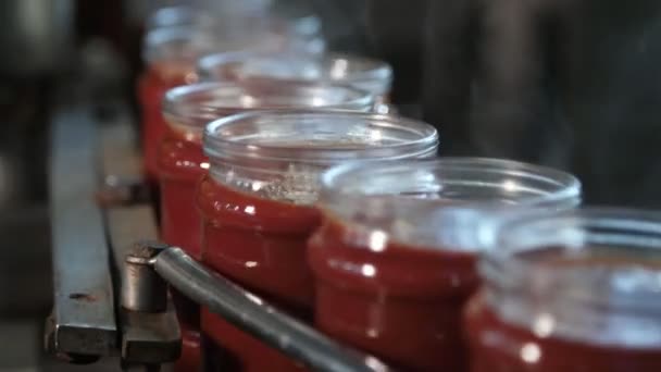 Hot Tomato Paste Banks Running Metallic Stripe Lids Tomatenfabriek Prachtige — Stockvideo