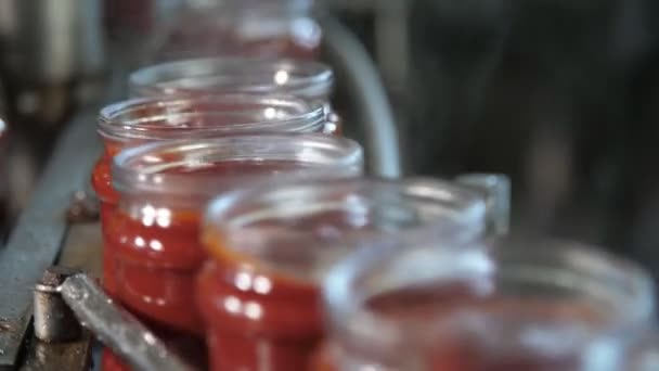 Βαζάκια Ντοματοπολτού Που Κινούνται Μεταλλική Λωρίδα Χωρίς Καπάκια Στο Εργοστάσιο — Αρχείο Βίντεο