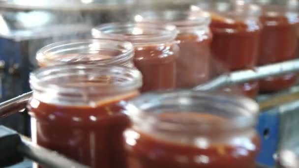 Räuchertomatenpastebänke Rollen Auf Einer Metallischen Linie Ohne Deckel Der Tomatenfabrik — Stockvideo