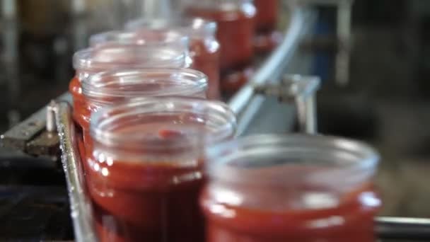 Verwarmde Tomatenpasta Potten Gaan Een Metalen Lijn Zonder Deksel Tomatenfabriek — Stockvideo