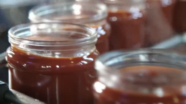 Räuchertomatenpastigläser Die Auf Einer Metallischen Linie Ohne Deckel Tomatenpflanze Laufen — Stockvideo