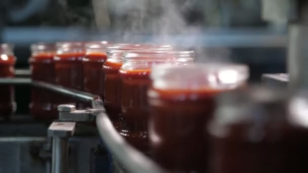 Beheizte Tomatenpastigläser Auf Einem Metallischen Streifen Ohne Deckel Tomatenpflanze Atemberaubende — Stockvideo