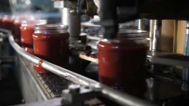 Domates Fabrikasında Kapağı Olmayan Metal Bir Şeritte Çalışan Domates Ezmesi — Stok video