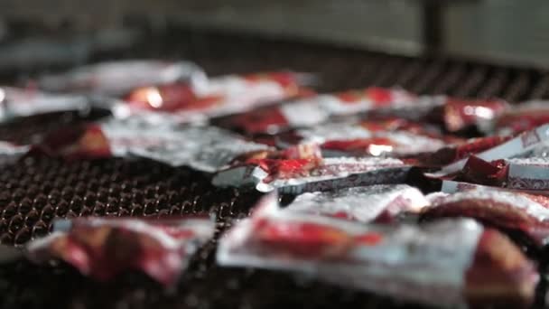 Conveyor Stripe Water Tomato Processing Plant Falling Catchups Wonderful Closeup — Stockvideo