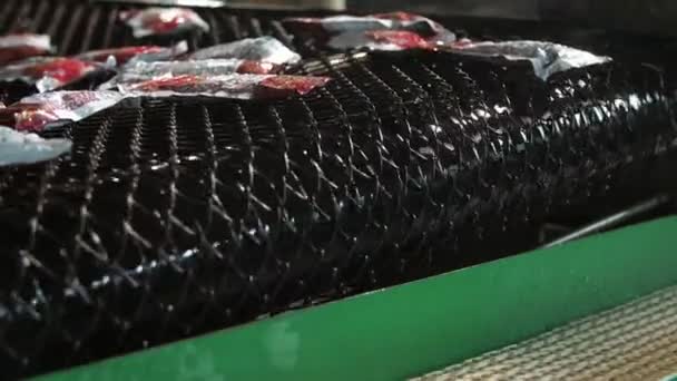 Dökülen Ketçap Paketleriyle Bir Domates Işleme Fabrikasında Iki Konveyör Hattı — Stok video