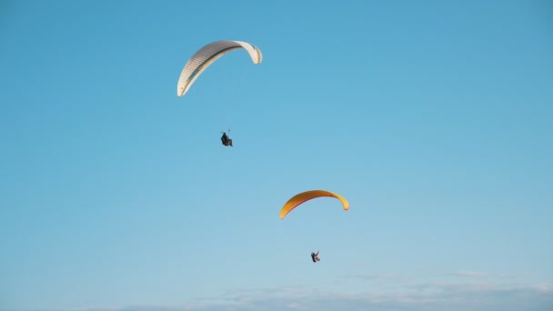 Twee Professionele Skydivers Zweven Kleurrijke Parachutes Zonnige Dag Zomer Prachtig — Stockvideo